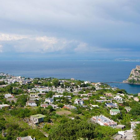 ホテル ラ カパニーナ イスキア島 エクステリア 写真